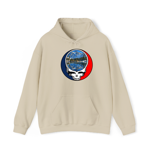 1725 - Custom Stealie Hoodie