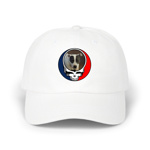 1688 - Custom Stealie Dad Hat