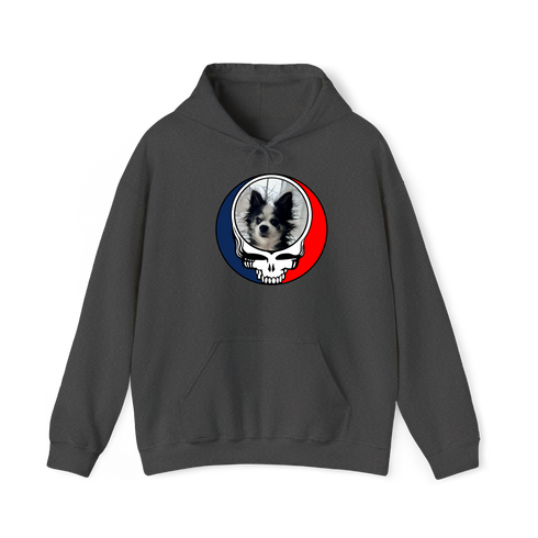 1709 - Custom Stealie Hoodie