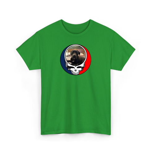 1522 - Custom Stealie T-Shirt