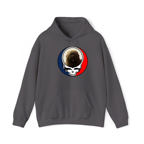 1461 - Custom Stealie Hoodie