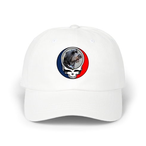 1721 - Custom Stealie Dad Hat