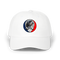 1721 - Custom Stealie Dad Hat
