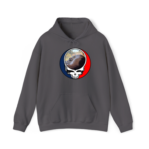 1634 - Custom Stealie Hoodie