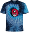 NIU Stealie Tie-Dye T-Shirt
