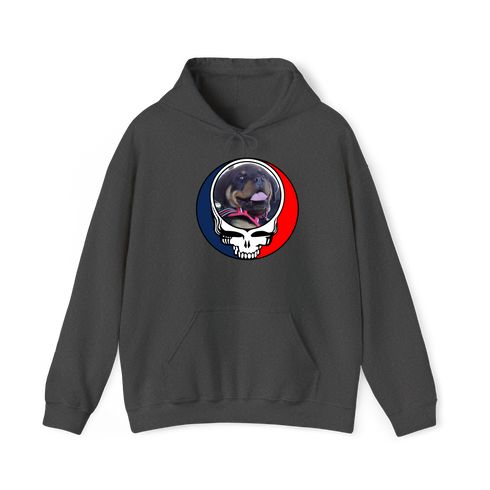 1639 - Custom Stealie Hoodie