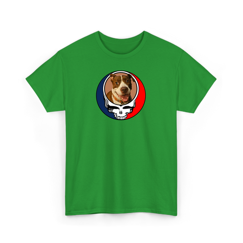 1614 - Custom Stealie T-Shirt