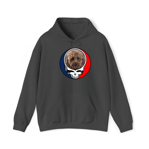 1498 - Custom Stealie Hoodie