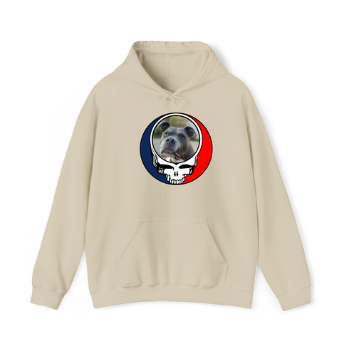 1545 - Custom Stealie Hoodie