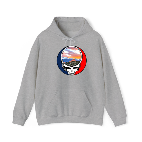 1596 - Custom Stealie Hoodie