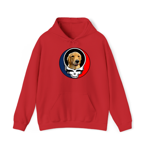1576 - Custom Stealie Hoodie