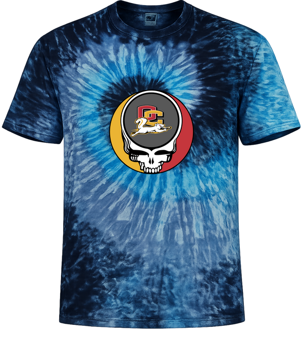 Oberlin Stealie Tie-Dye T-Shirt