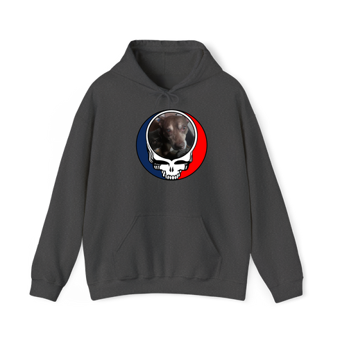 1560 - Custom Stealie Hoodie