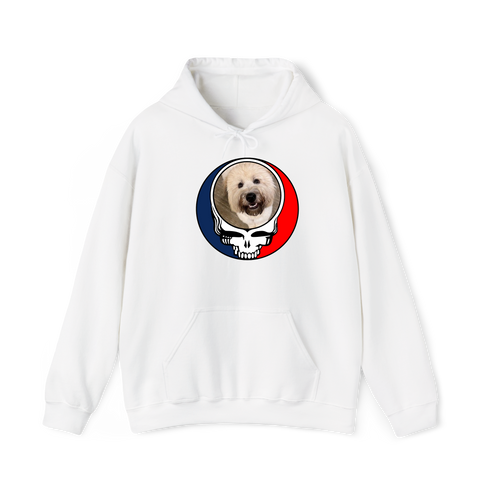 1533 - Custom Stealie Hoodie