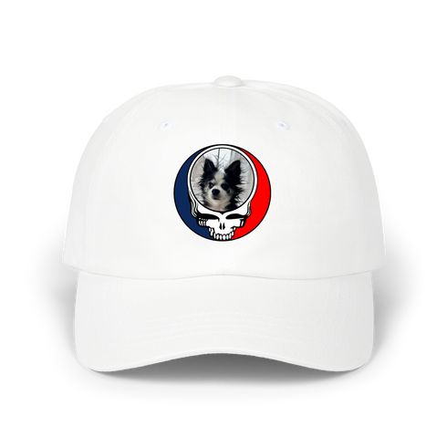 1709 - Custom Stealie Dad Hat