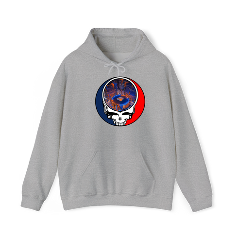1597 - Custom Stealie Hoodie