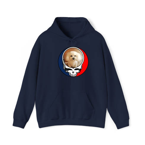 1641 - Custom Stealie Hoodie