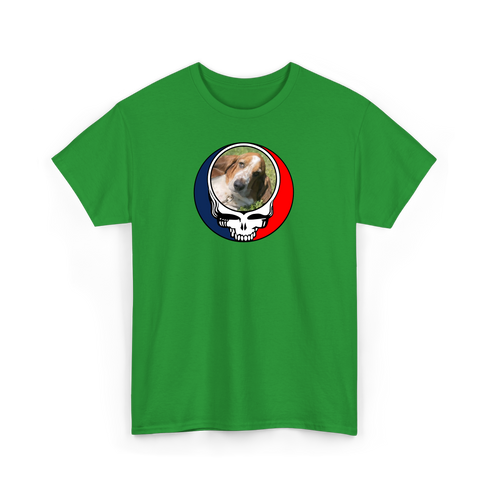 1682 - Custom Stealie T-Shirt