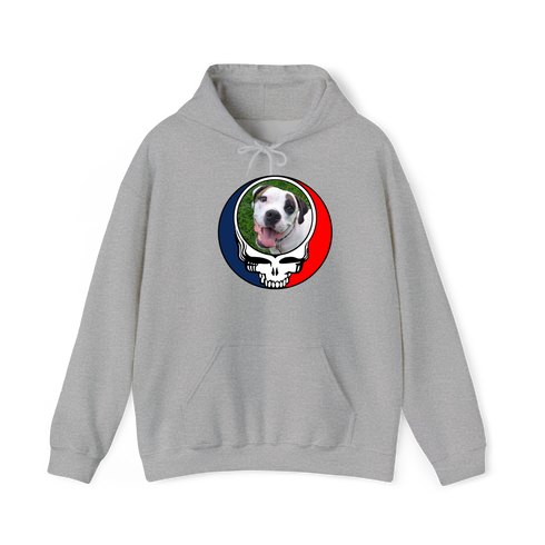1456 - Custom Stealie Hoodie