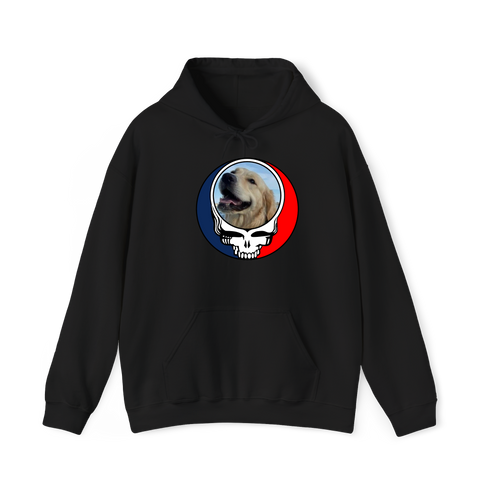 1698 - Custom Stealie Hoodie