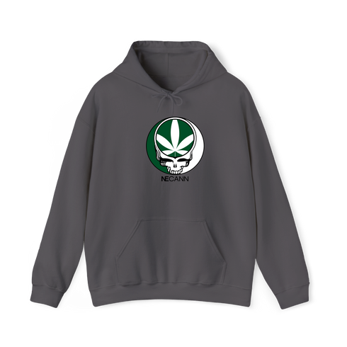 1667 - Custom Stealie Hoodie