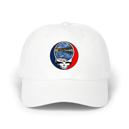 1723 - Custom Stealie Dad Hat