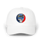 1723 - Custom Stealie Dad Hat