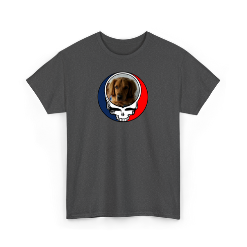 1729 - Custom Stealie T-Shirt