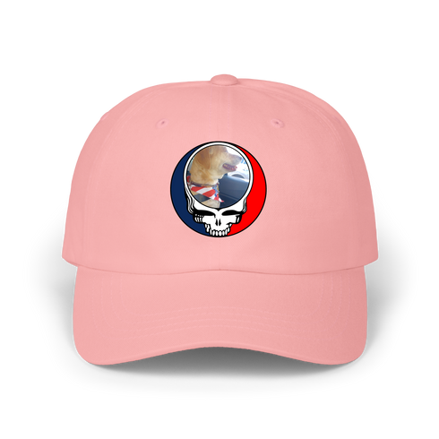 1647 - Custom Stealie Dad Hat