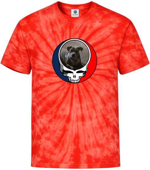 1436 - Custom Stealie Tie-Dye