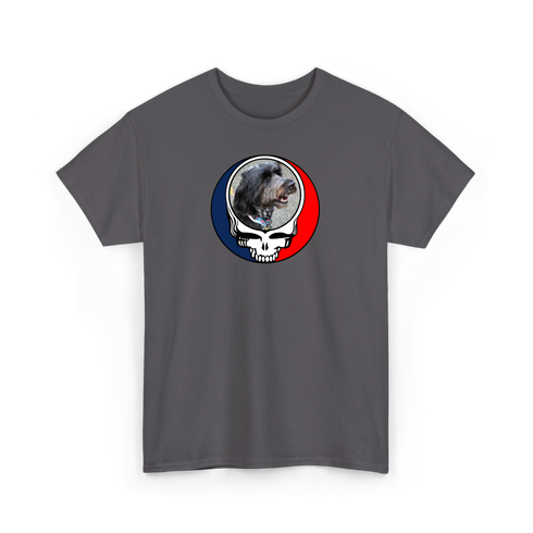 1721 - Custom Stealie T-Shirt