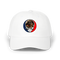 1544 - Custom Stealie Dad Hat