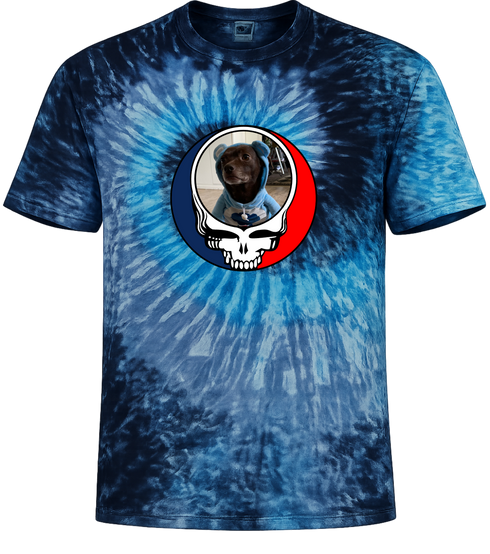 1646 - Custom Stealie Tie-Dye
