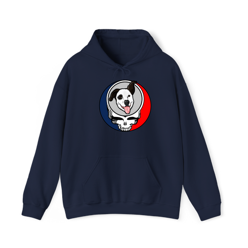 1613 - Custom Stealie Hoodie