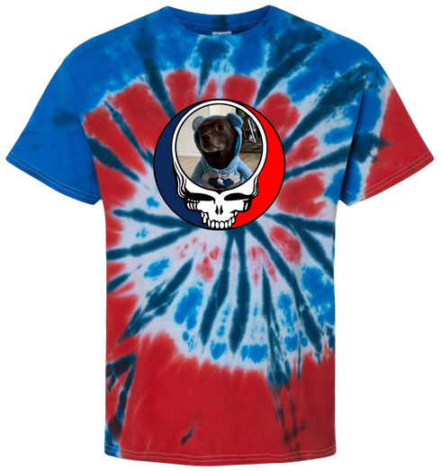 1646 - Custom Stealie Tie-Dye