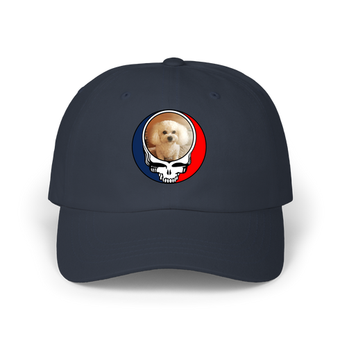 1641 - Custom Stealie Dad Hat