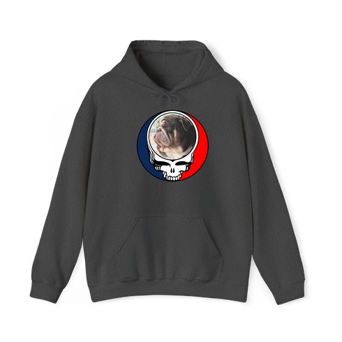 1676 - Custom Stealie Hoodie