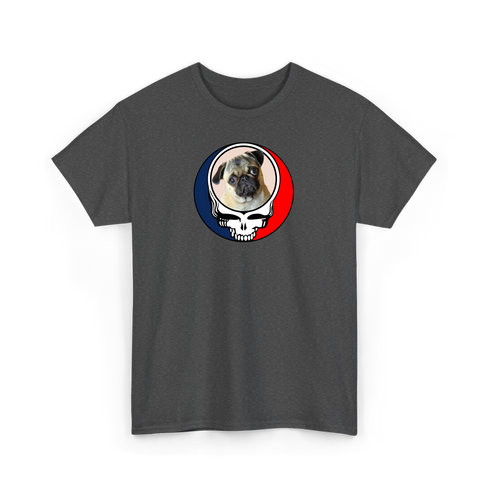 1497 - Custom Stealie T-Shirt