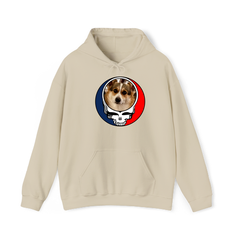 1592 - Custom Stealie Hoodie