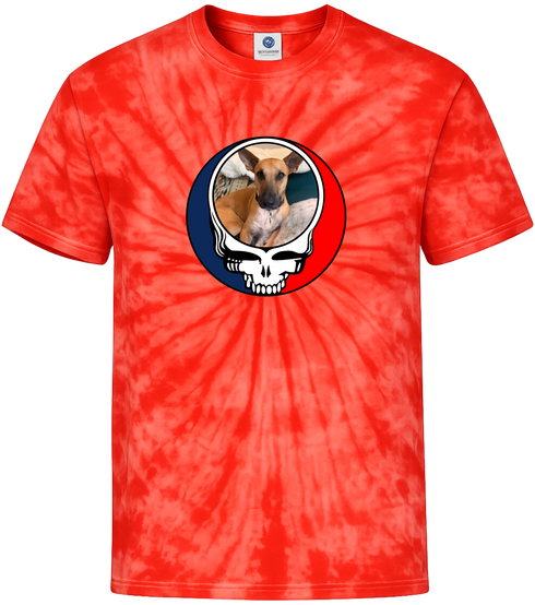 1355 - Custom Stealie Tie-Dye