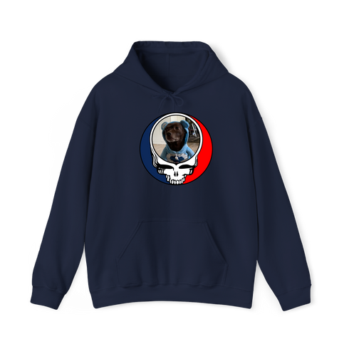 1646 - Custom Stealie Hoodie
