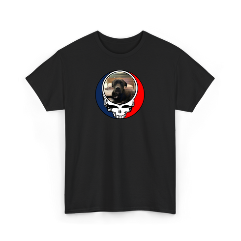 1522 - Custom Stealie T-Shirt