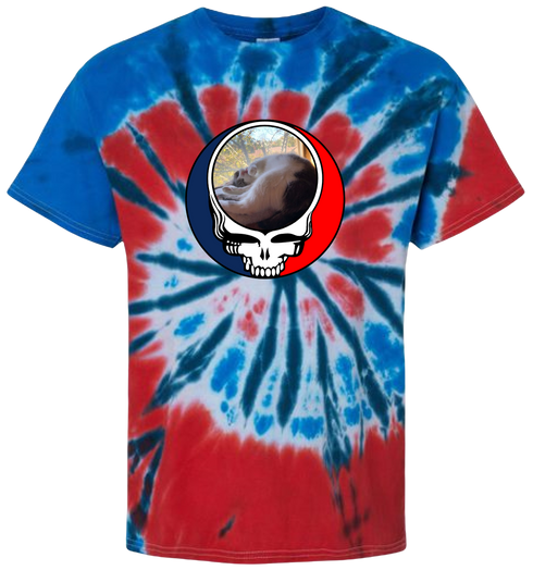 1634 - Custom Stealie Tie-Dye