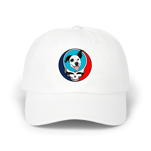 1593 - Custom Stealie Dad Hat