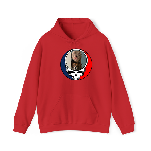 1629 - Custom Stealie Hoodie