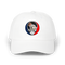 1419 - Custom Stealie Dad Hat