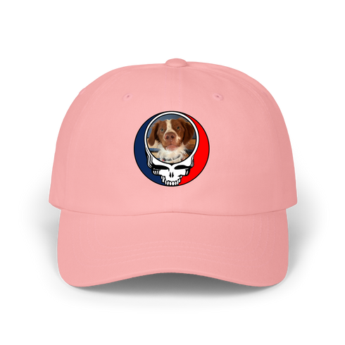 1538 - Custom Stealie Dad Hat