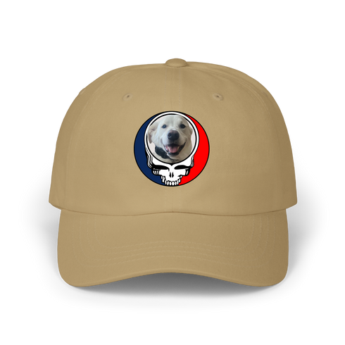 1564 - Custom Stealie Dad Hat