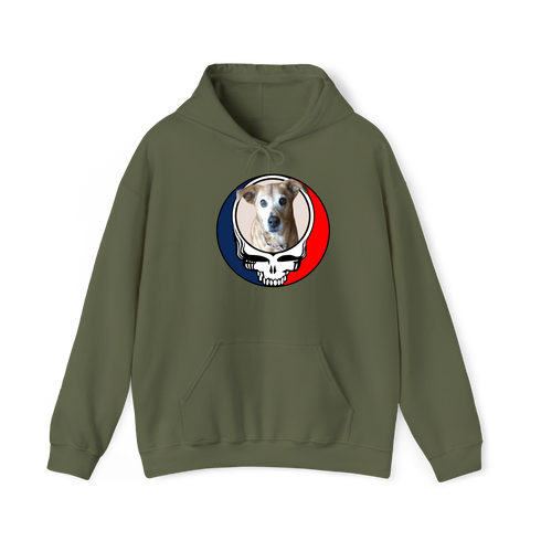 1474 - Custom Stealie Hoodie