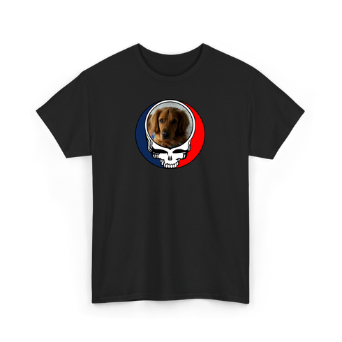 1729 - Custom Stealie T-Shirt